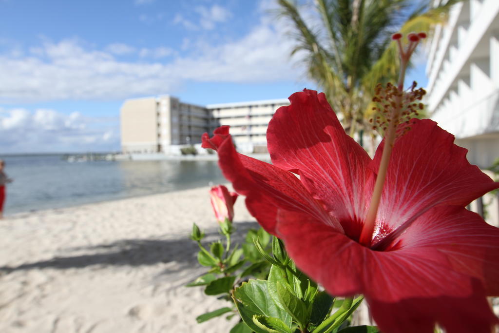 Princess Bayside Beach Hotel Ocean City Exterior foto